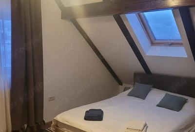 Vila+ teren de 2,2ha la 5 km de Vatra Dornei - 8