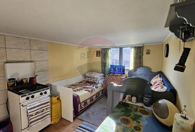 Casă / Vilă cu 3 camere de vânzare-Cacica-Suceava - 17