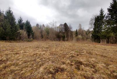 Teren Construcții extravilan de 996 mp, în Drăguș - 1