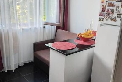 Garsonieră semidecomandată în Brazda lui Novac - 7