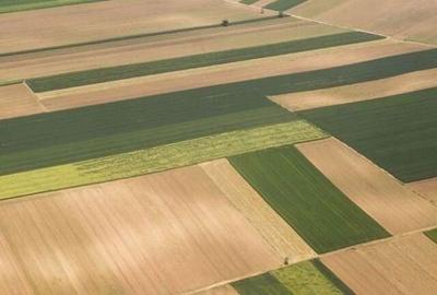 Teren de 92000 mp, în Târgușor - 1