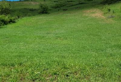 Teren Construcții extravilan de 2200 mp, în Sânpaul - 3