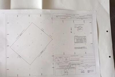 Teren de 66000 mp, în Dascălu - 1