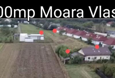 Vand teren intravilan Moara Vlasiei