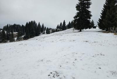 Spațiu comercial, în Breaza - 1