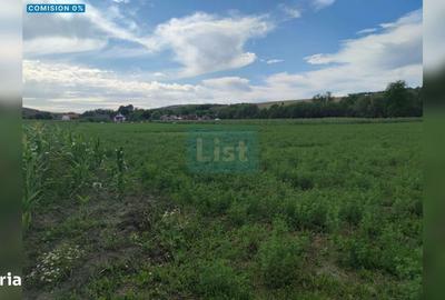 Spațiu comercial, în Fundătura - 1