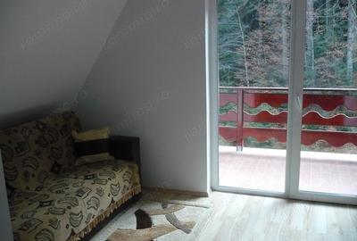 Predeal-Vila de vacanta pretabil pensiune - 16