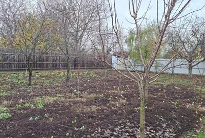 Casă individuală cu 2 camere cu Teren 1215 Mp în Movilița - 4