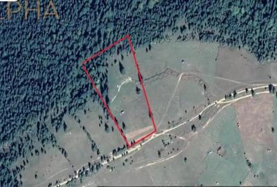 Teren de 27020 mp, în Piatra - 5