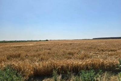 Teren de 1080 mp, în Central - 11