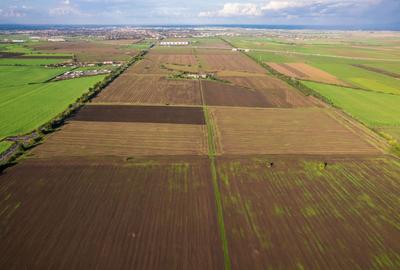 Teren agricol extravilan de 400000 mp, în Sud - 2