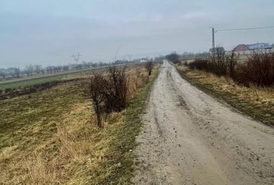 Teren de 4300 mp, în Cuzdrioara - 1
