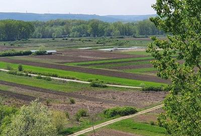 Teren de 760 mp, în Brădești - 10