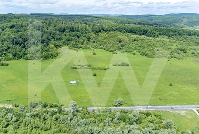 Teren de vanzare - 8.300 mp la intrare in Bradu, judetul Sibiu - 6