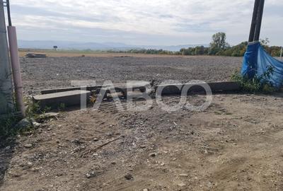 Teren de vanzare in Sebes pe strada Calarasi - 5