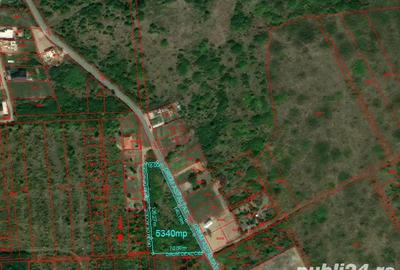 Teren de 1000 mp, în Centura - 6