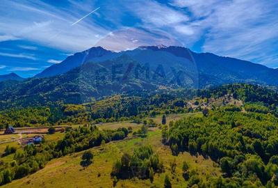 Teren Rasnov -Glajerie, Poiana Velicanului, 1447mp, la st... - 6