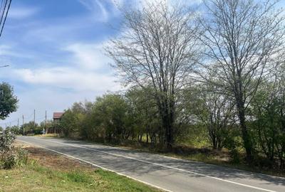 Spațiu comercial, în Lipia - 1