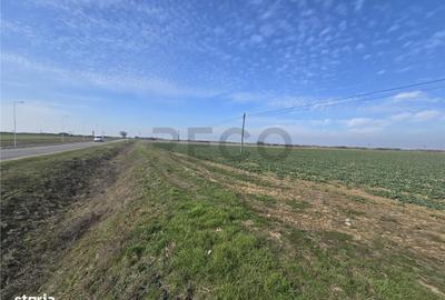 Teren de 5754 mp, în Nojorid