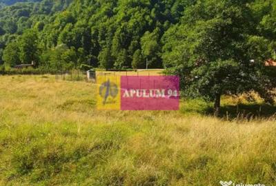 Teren de 744 mp, în Brezoi - 1