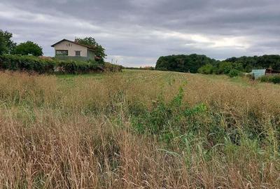 Teren de 4100 mp, în Tâncăbești - 4