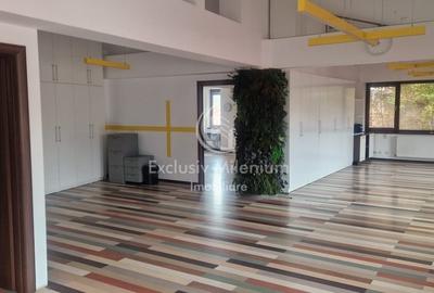 Piata Unirii Vila / Casa Birouri  Serban Voda- Cantemir - 8