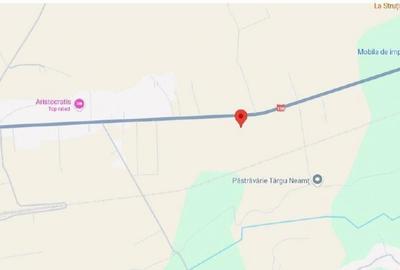 Targu Neamt, Punct Manesti, cota parte 1/2, ID: R2759104 - 6