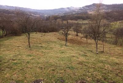 Teren de 2500 mp, în Urseiu - 2