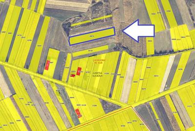 Spațiu comercial, în Horodnic - 1