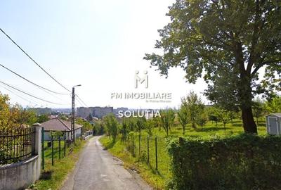 Teren intravilan 10 ari, zona Grigore Ureche, PUZ! - 5