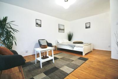 TEUL DOAMNEI-BERECHET, RENOVATA TOTAL, MOBILATA  MODERN, 0% COMISION! - 12