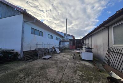 Spațiu industrial, de 287 mp, în Buciumi - 6