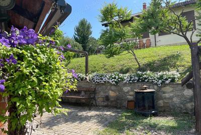 Casă cu 4 camere cu Teren 8140 Mp în Gârcina - 5
