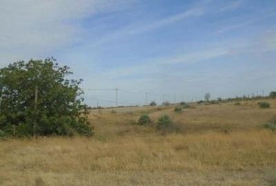 Teren de 11000 mp, în Smârdan - 11