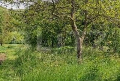 Casă cu 5 camere cu Teren 2100 Mp în Luna - 4