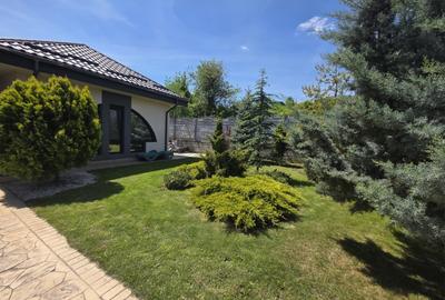 Casă individuală cu 4 camere cu Teren 1700 Mp în Bucium - 2
