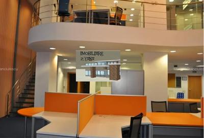 Birou, 290 mp în Cișmigiu - 1