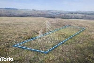 Teren de 5000 mp, în Almaș - 2