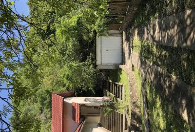 Vand casa cu teren in Paulis - 5