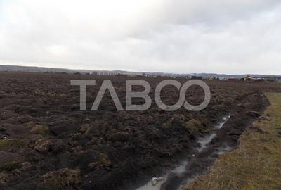 Teren intravilan de vanzare 10.000 mp in zona Industriala Vest Sibiu - 4
