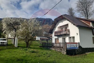 Casă individuală cu 7 camere cu Teren 3580 Mp în Tohănița - 36