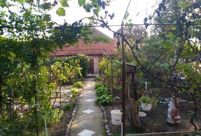 Casă cu 4 camere în Berecuța - 5