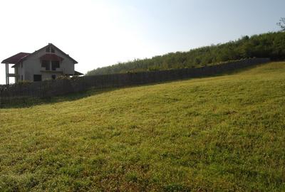 Casă cu 5 camere cu Teren 3500 Mp în Central