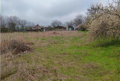 Teren Construcții intravilan de 46000 mp, în Dorobanț - 7