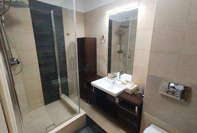 REA1025460 Apartament 2 Camere I De Vanzare I Calea Victoriei - 11