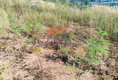 Teren cu autorizatie si proiect de construire, utilitati, Smeura - 5