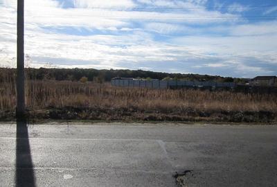 Teghes-Caragea Voda - 4