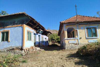 Casa batraneasca teren 1800mp Calinesti Arges Str.Corbesti Jud. Arges - 1