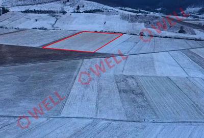 Teren de 15800 mp, în Zagon - 2