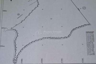 Teren de 69450 mp, în Arefu - 8